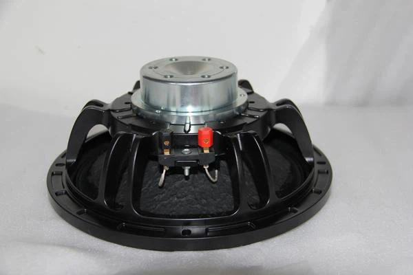 10 Inch 300W RMS NEO Pro Audio Loudspeakers Subwoofer